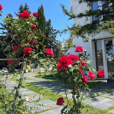 Residenza Margot Frühstückspension Quattromiglio