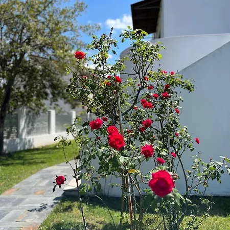 Bed & Breakfast Residenza Margot *